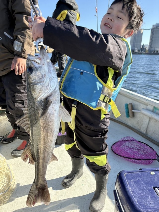 シーバス(スズキ)