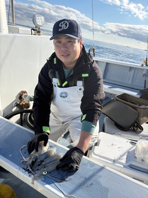 マルイカ(ケンサキイカ)