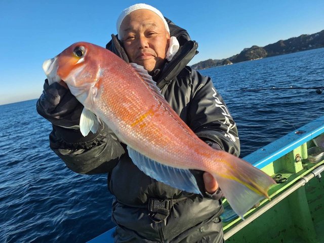 アマダイ(アカアマダイ)