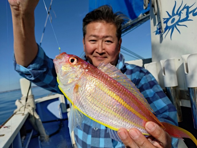 イトヨリ(イトヨリダイ)