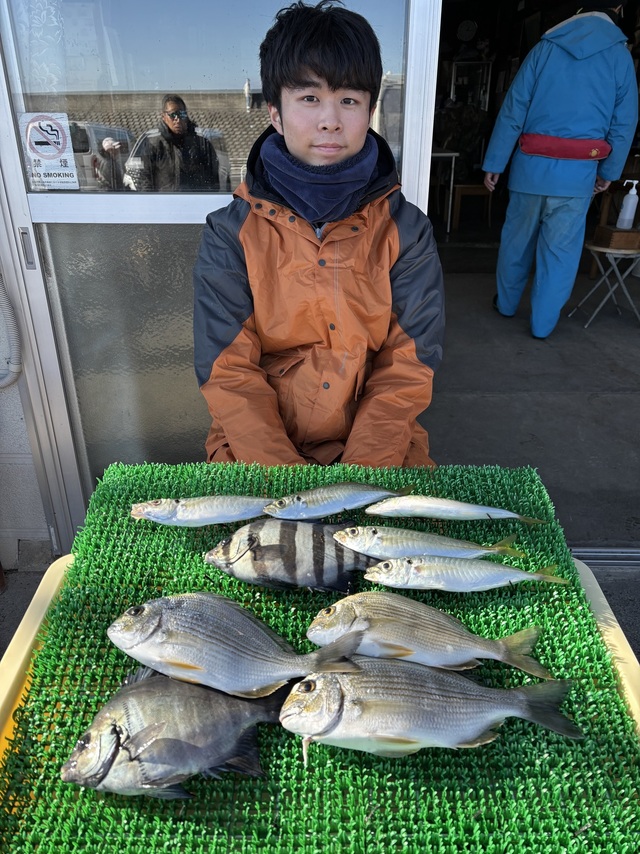 ヘダイ・アジ(マアジ)