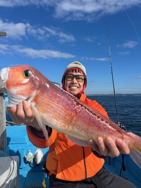 アマイオ(ダイミョウサギ)