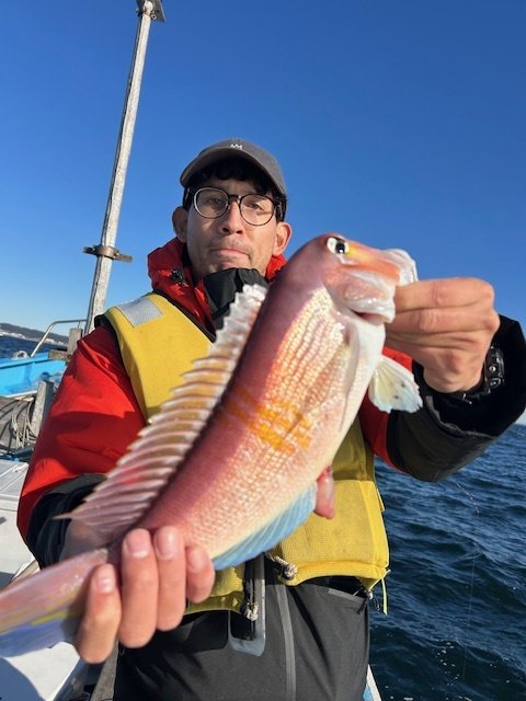 アマイオ(ダイミョウサギ)