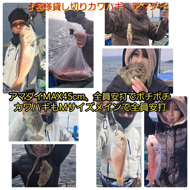 シロアマダイ・カワハギ