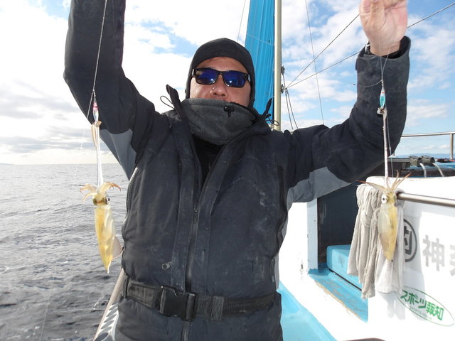 マルイカ(ケンサキイカ)