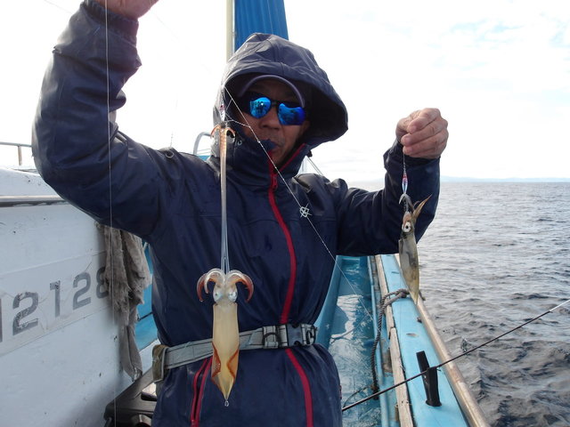 マルイカ(ケンサキイカ)