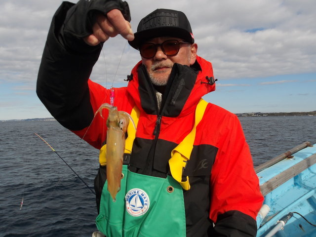 マルイカ(ケンサキイカ)