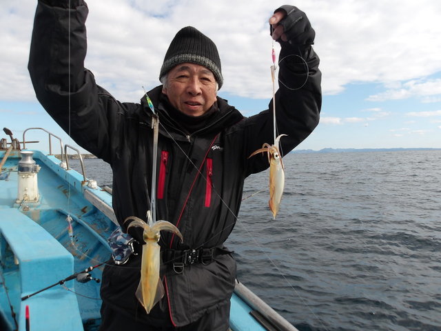 マルイカ(ケンサキイカ)