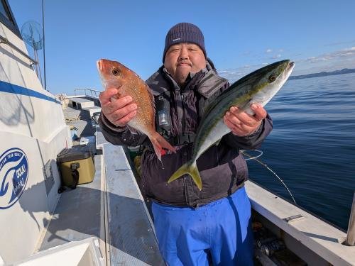 マダイ・イナダ(ブリ)