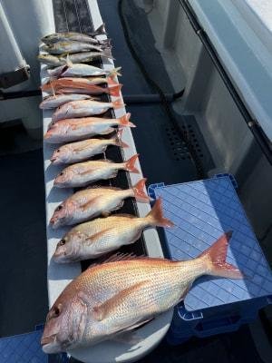 マダイ・イサキ・ホウボウ