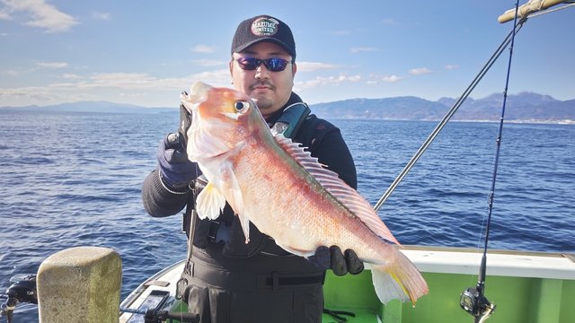 アマダイ(アカアマダイ)