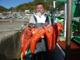 ベニアコウ(オオサガ)