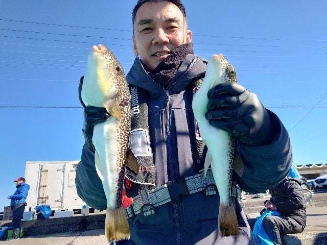 ショウサイフグ