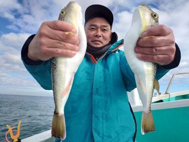 ショウサイフグ