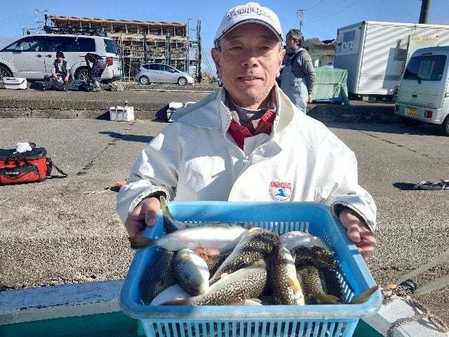 ショウサイフグ