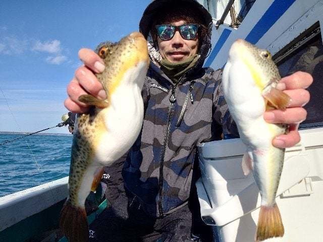 ヒガンフグ・ショウサイフグ