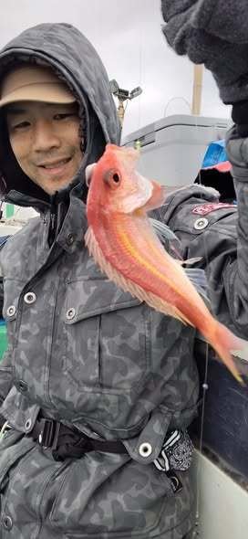 イトヨリ(イトヨリダイ)