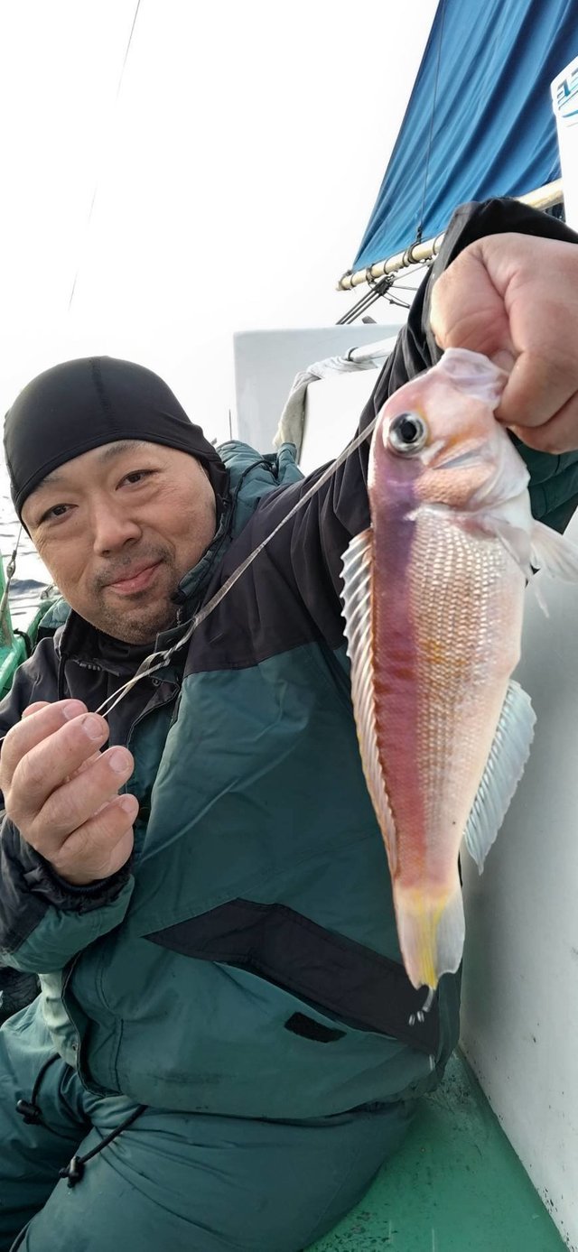 アマダイ(アカアマダイ)