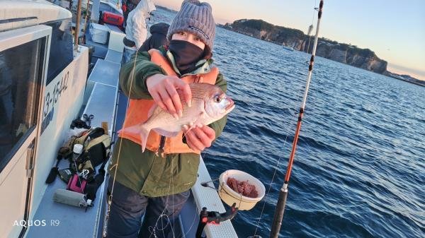 ハナダイ(チダイ)