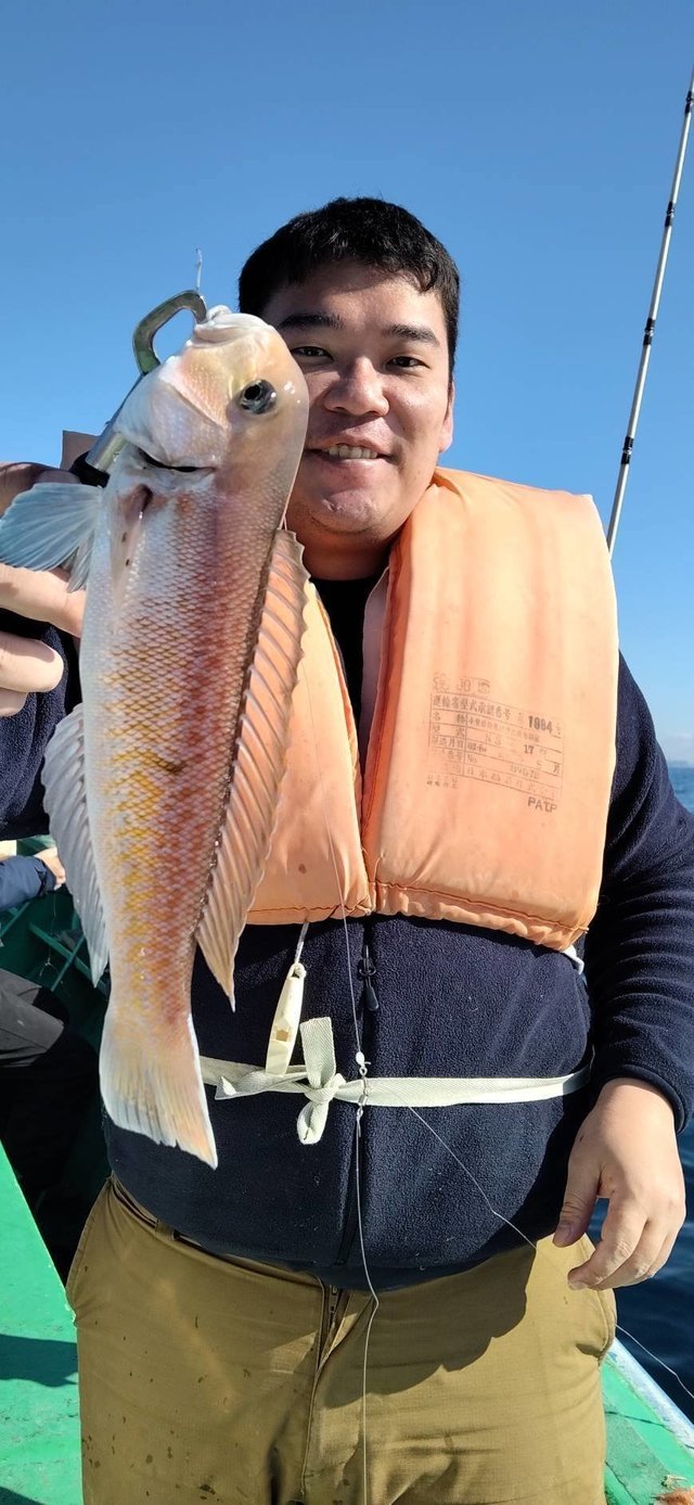 アマダイ(アカアマダイ)