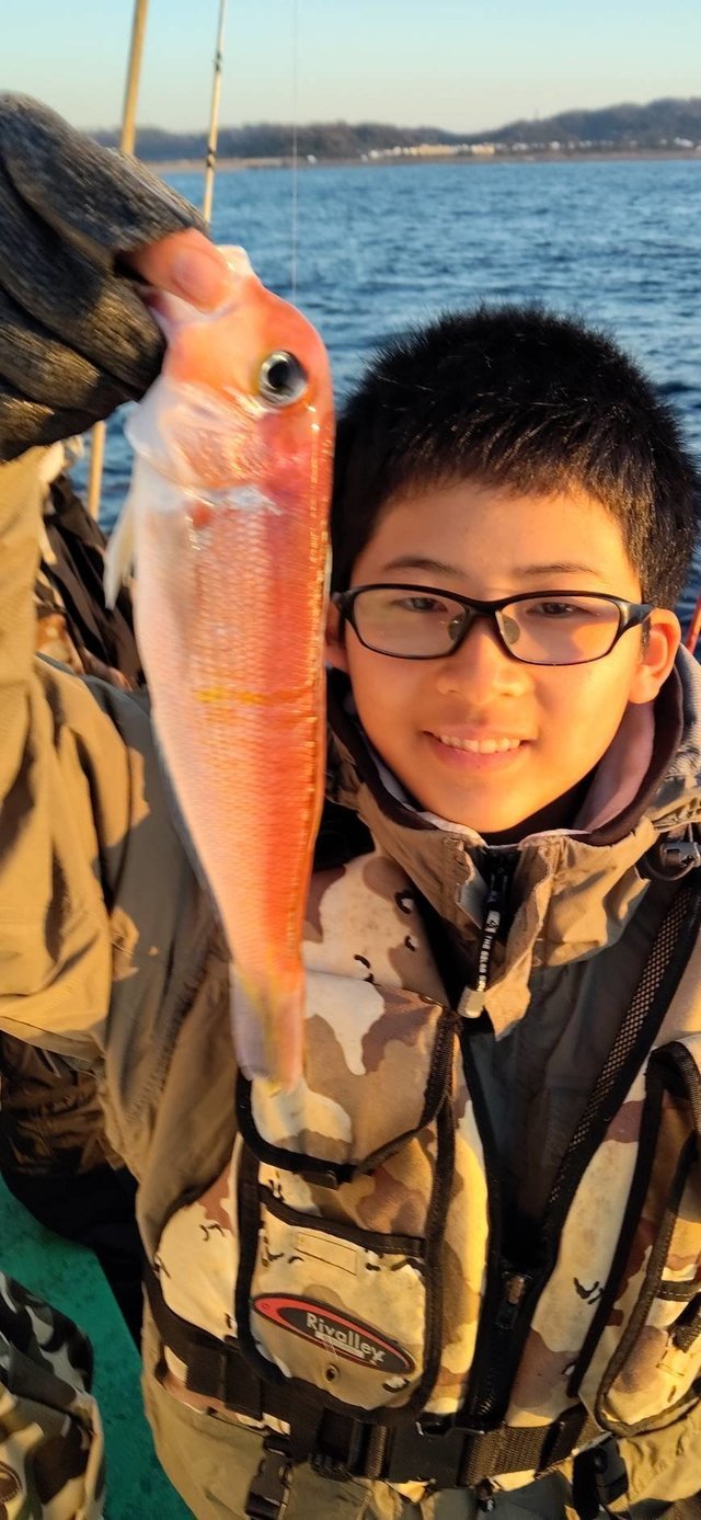 アマダイ(アカアマダイ)