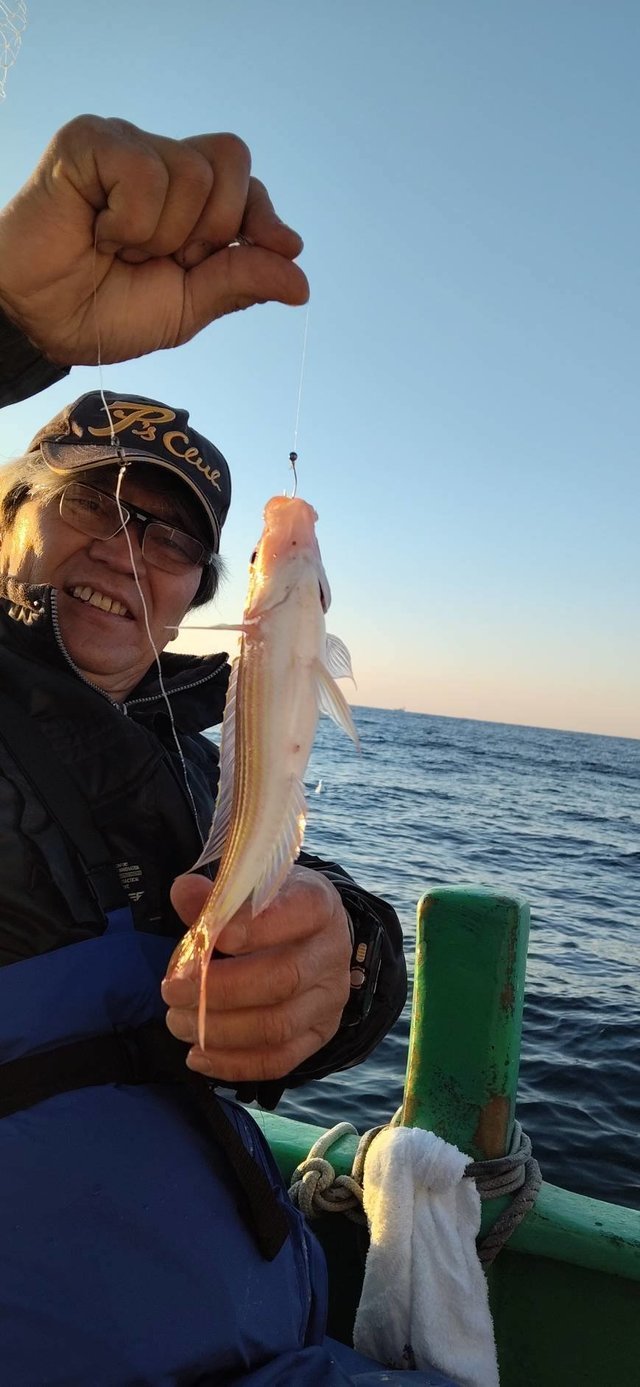 イトヨリ(イトヨリダイ)