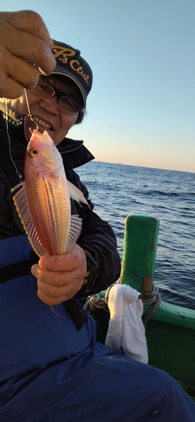 イトヨリ(イトヨリダイ)