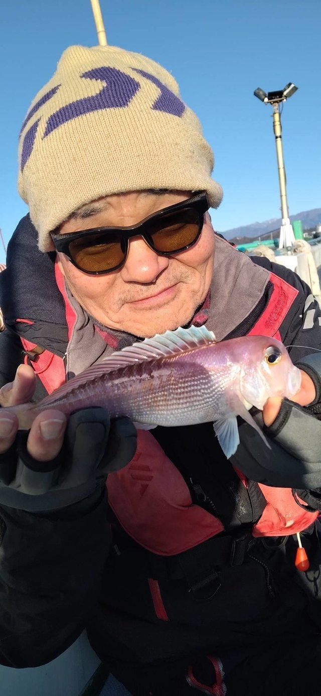 アマダイ(アカアマダイ)