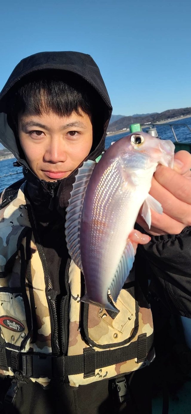 アマダイ(アカアマダイ)