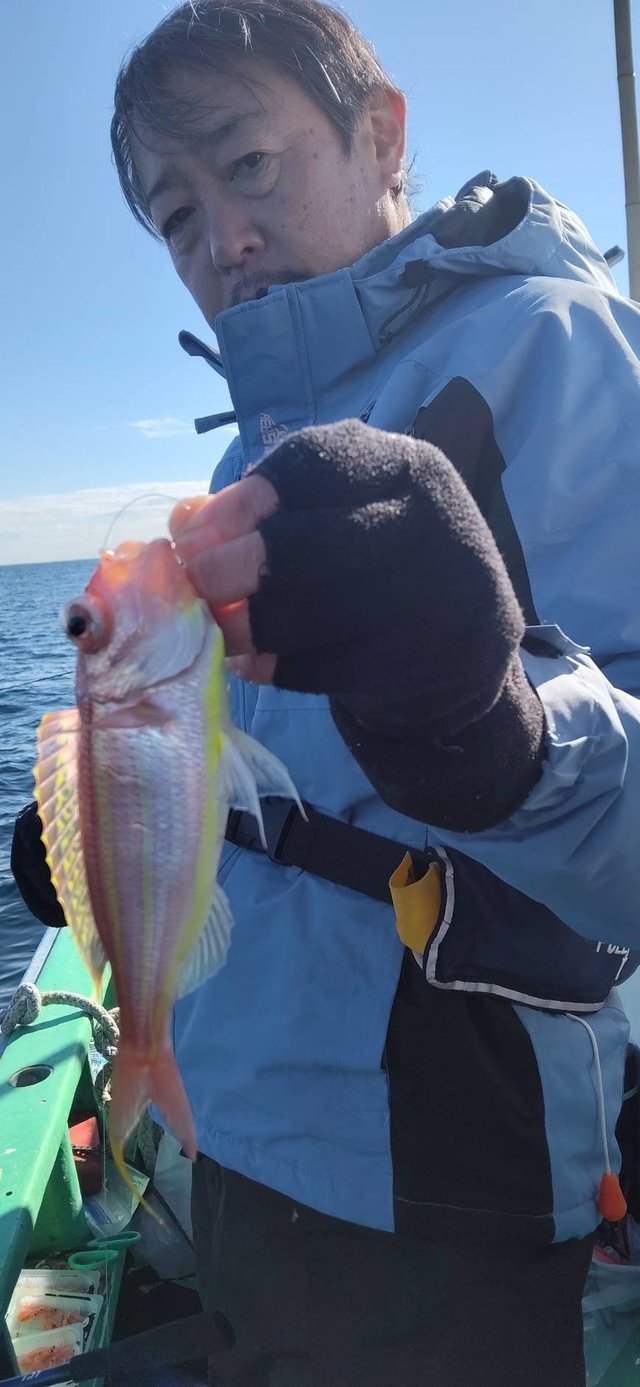 イトヨリ(イトヨリダイ)