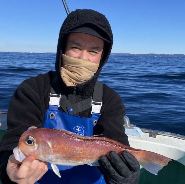 アマダイ(アカアマダイ)