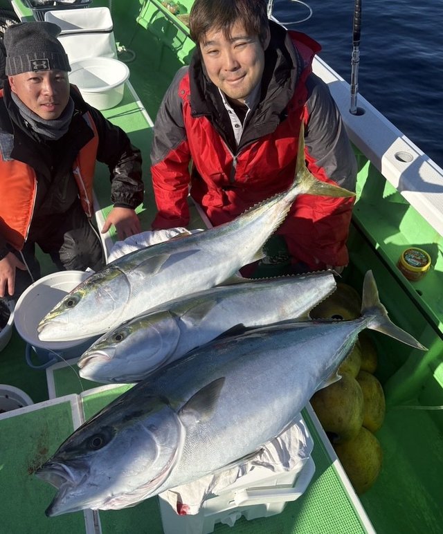 ブリ・ワラサ(ブリ)