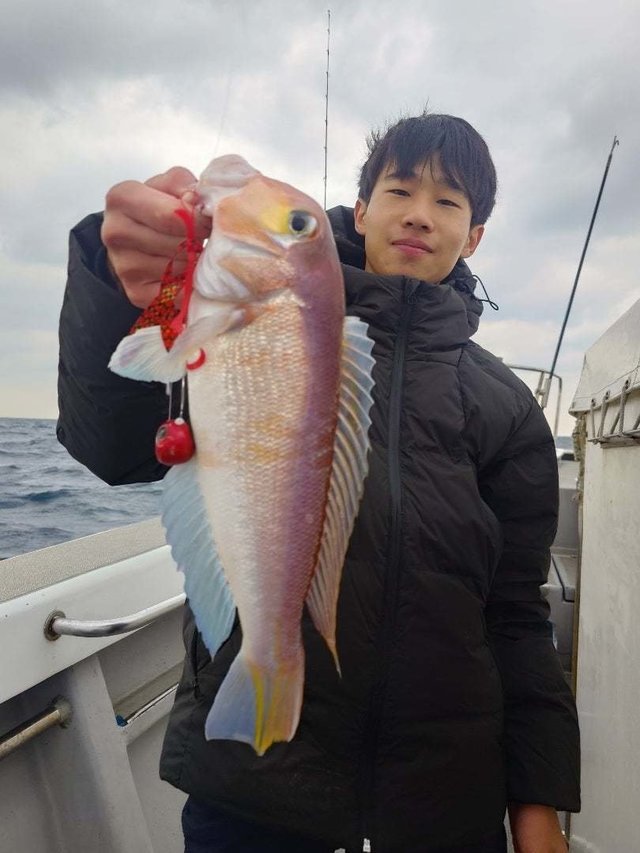 アマダイ(アカアマダイ)