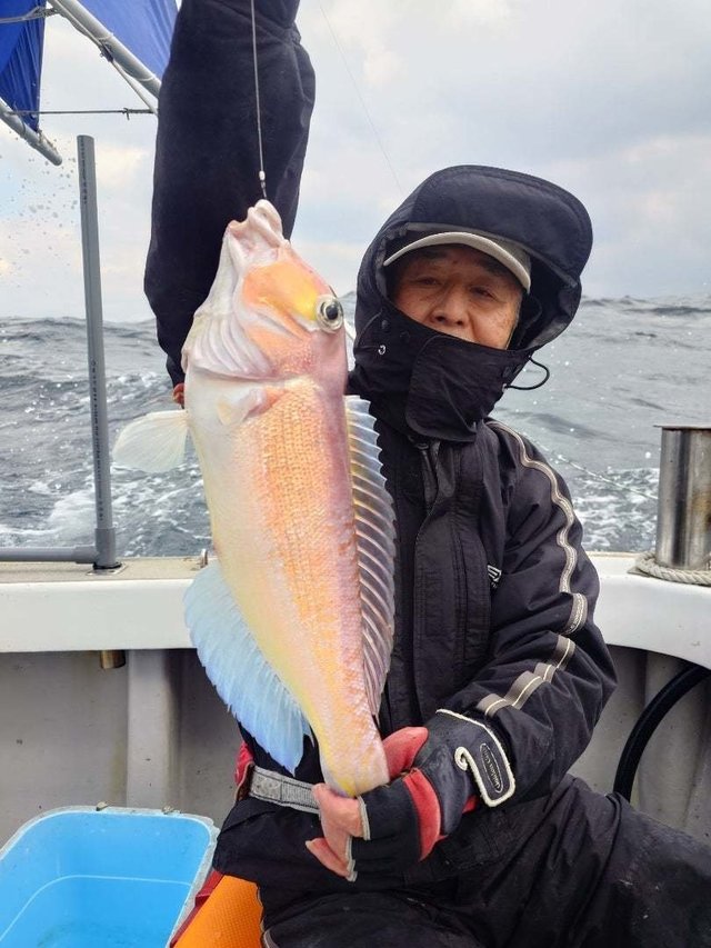 アマダイ(アカアマダイ)