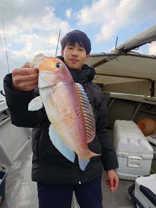 アマダイ(アカアマダイ)