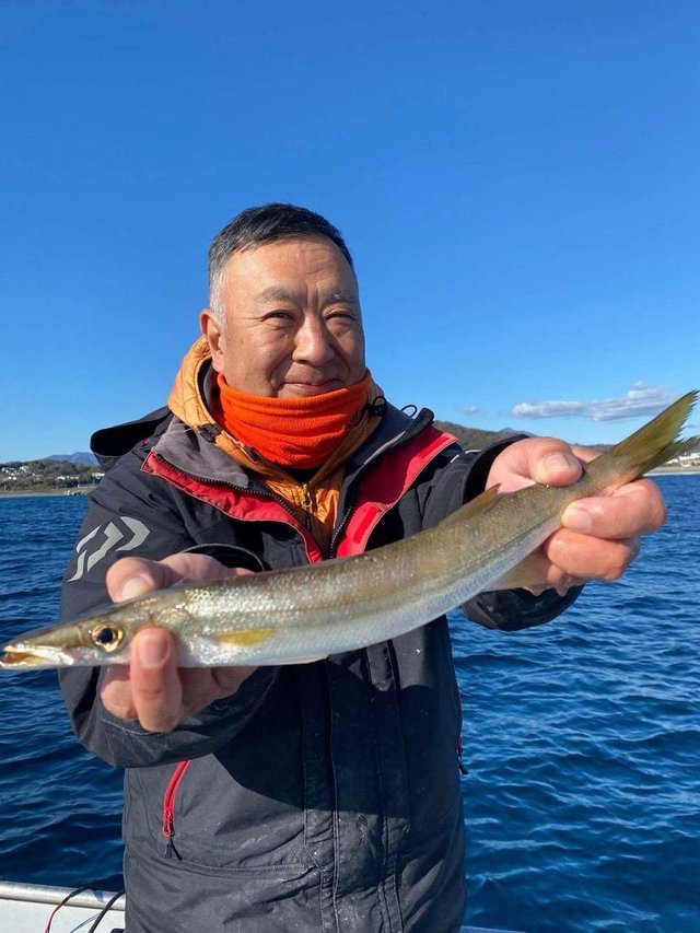 カマス(アカカマス)