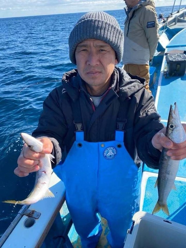 カマス(アカカマス)