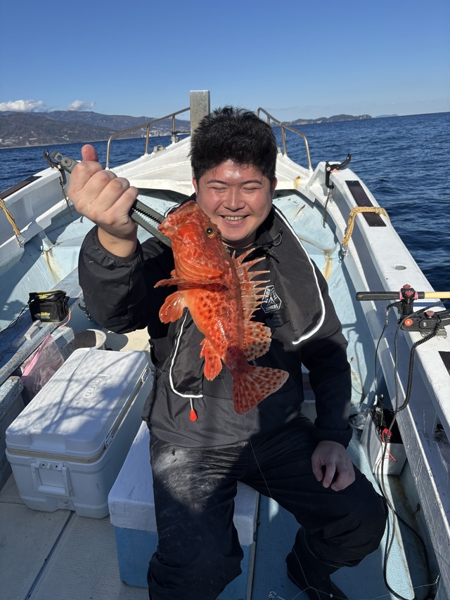 オニカサゴ(イズカサゴ)