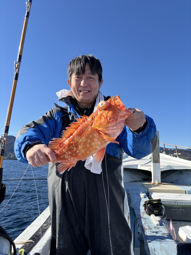 カンコ(ウッカリカサゴ)