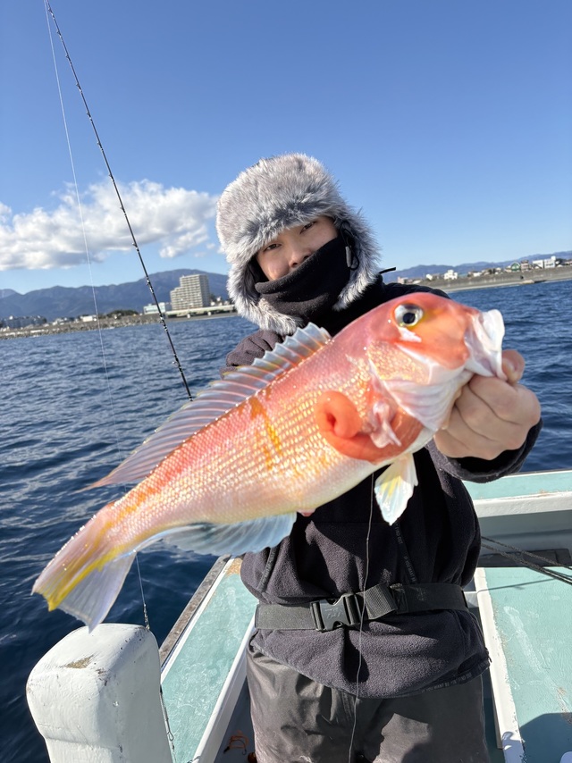 アマダイ(アカアマダイ)