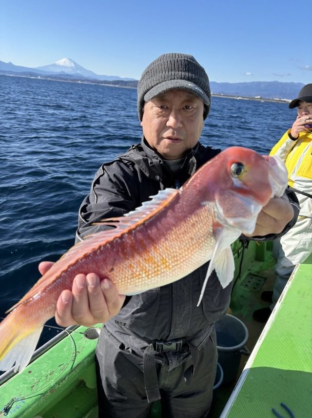 アマダイ(アカアマダイ)