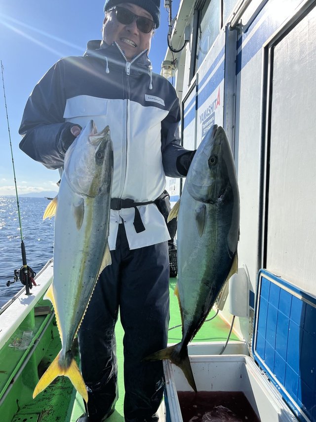 ブリ・ワラサ(ブリ)