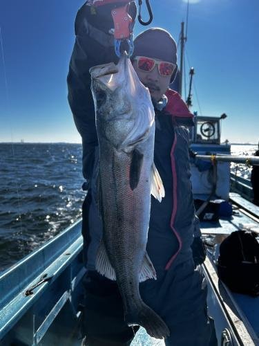 シーバス(スズキ)