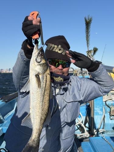 シーバス(スズキ)