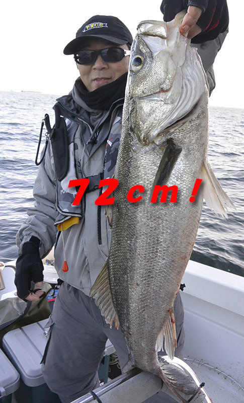 シーバス(スズキ)