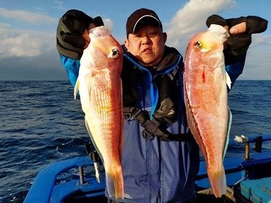 アマダイ(アカアマダイ)