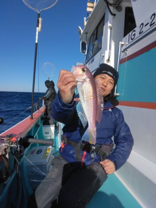 アマダイ(アカアマダイ)