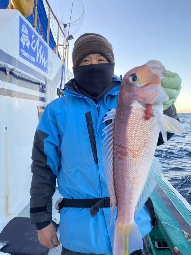 アマダイ(アカアマダイ)