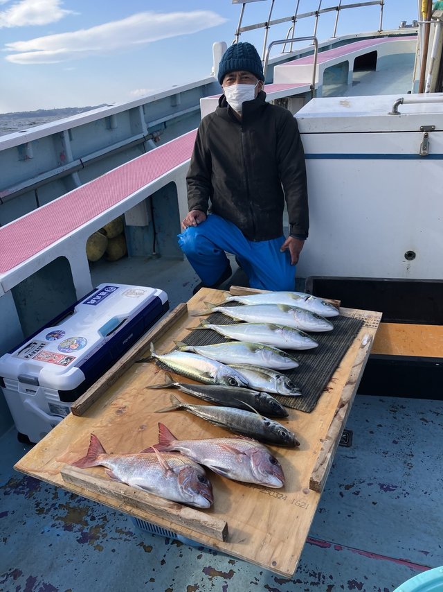 マダイ・マアジ・イナダ(ブリ)・マサバ