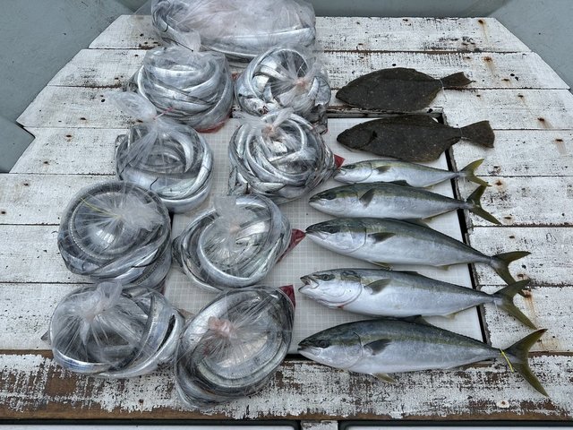 イナダ(ブリ)・タチウオ・ヒラメ